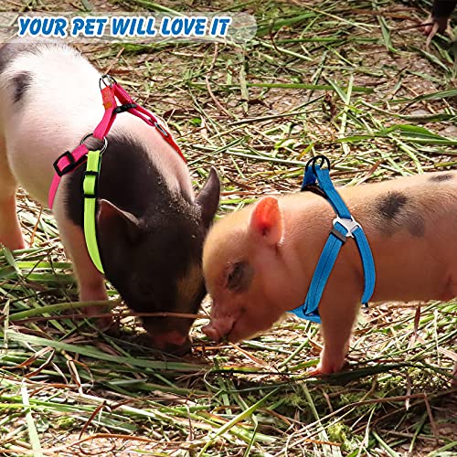 Frienda 2 Pieces Adjustable Mini Pig Harness Leash Mini Pig Walking Harness And Leash For Hog Piggy Ferret Rabbit Dog Cat And Other Small Animals Walking Training Jogging #TOP4