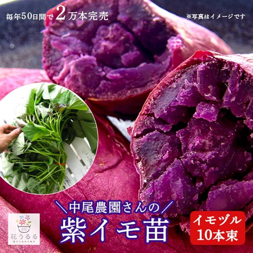 61vqK2EQjdL._AC_UF1000,