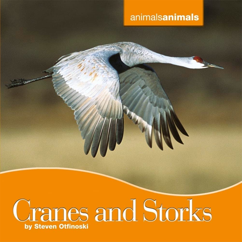 Buy Cranes and Storks (Animals, Animals) — BookShops.in