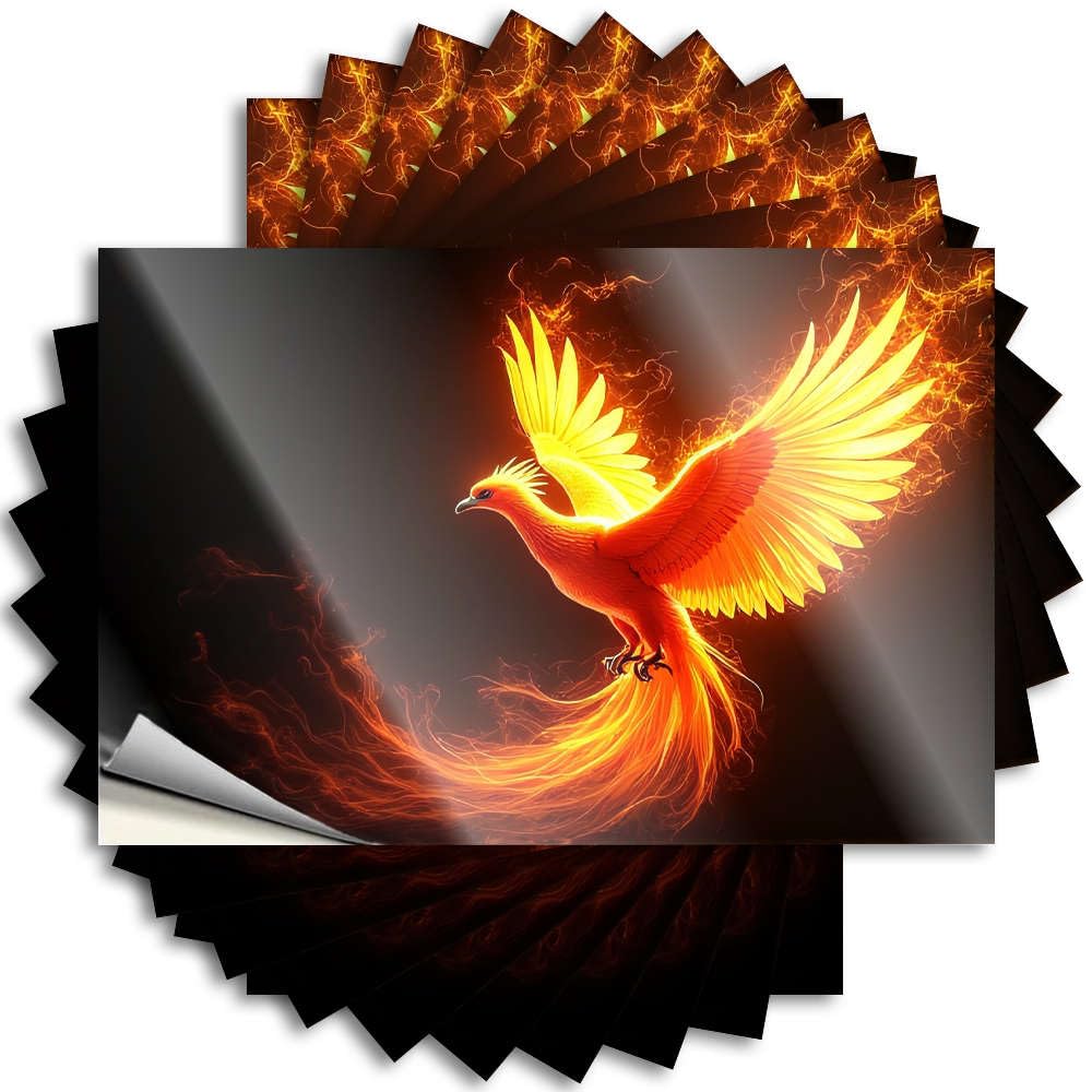 Bumper Summer Haves Waterproof - A Fiery Phoenix with Outstretched Wings. Window Self Adhesive Decal for Taupe Use(12X18CM)