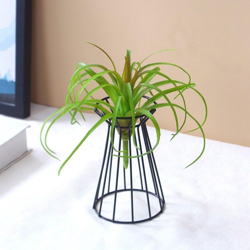 鉄製植物ディスプレイフレーム 鉄製植物ディスプレイフレーム 鉄製植物ディスプレイフレーム