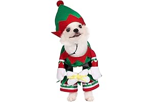 Elf Pet Clothes for St Bernard: Mogoko's Festive Dog Cat Christmas Costume
