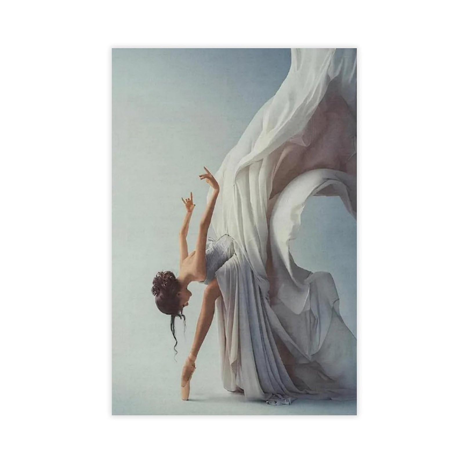 NFFBGFD Elegant Ballet Dancer Canvas Poster Wall Art Print Picture Paintings 24x36inch(60x90cm)