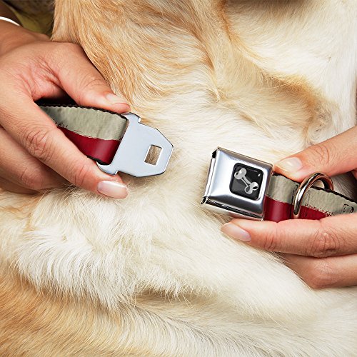 Collier pour chien boucle de sécurité Buckle Down Dc-w42007-m résistant
