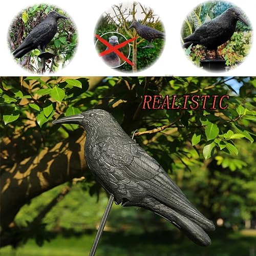 Taubenschreck Fajoek Krähe Schwarz zur Vogelabwehr