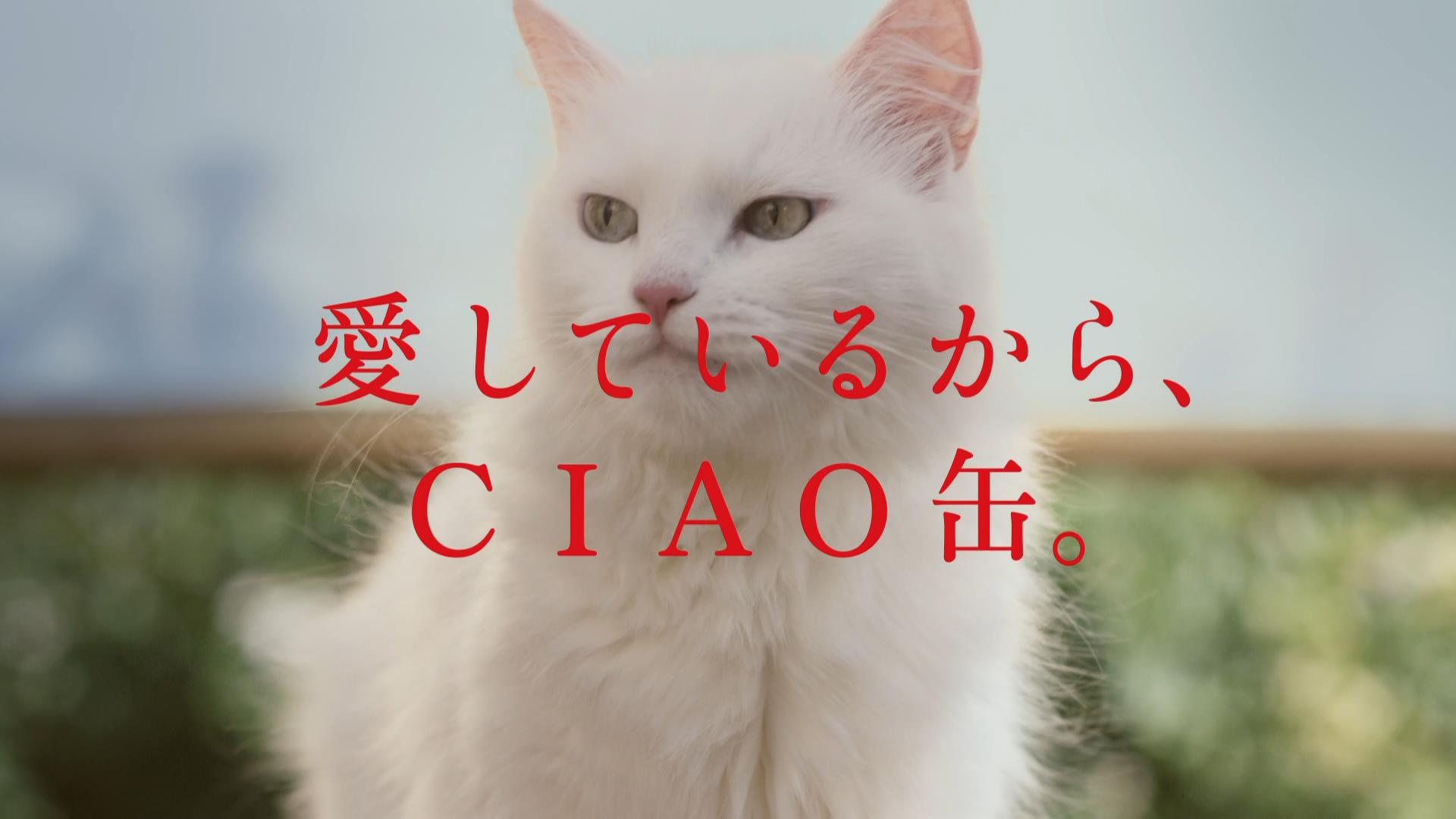 Amazon | チャオ(CIAO)11歳からのまぐろ白身(柔らかフレーク)85g24個