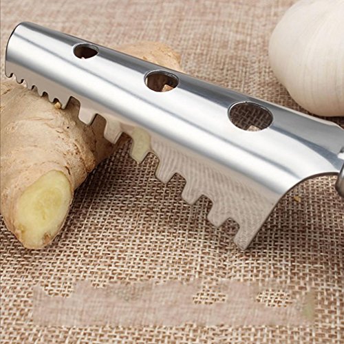 WYFC Scale scale planata per uccidere pesce scala