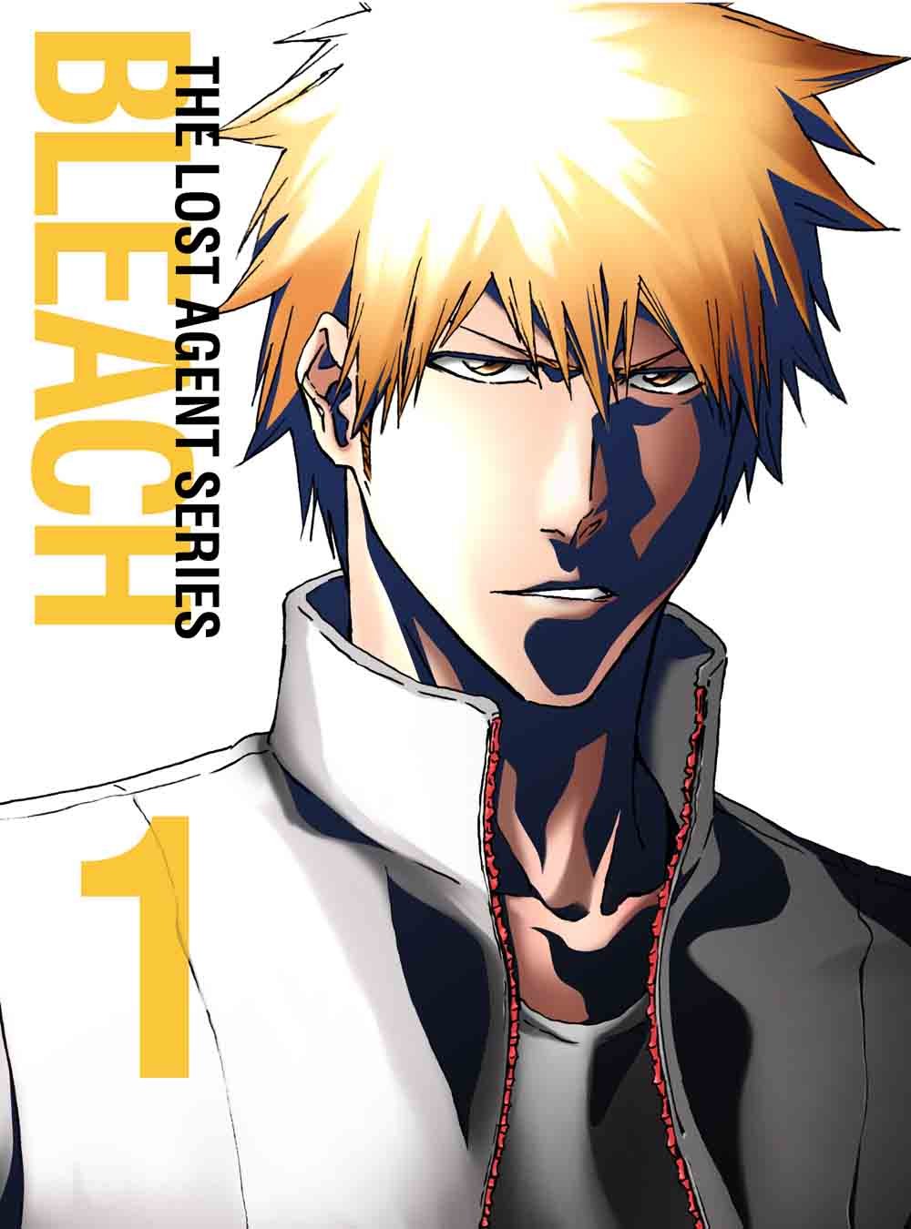 Animation Bleach The Lost Substitute Shinigami Arc