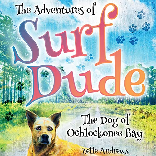 The Adventures of Surf Dude by Zelle Andrews episode artwork