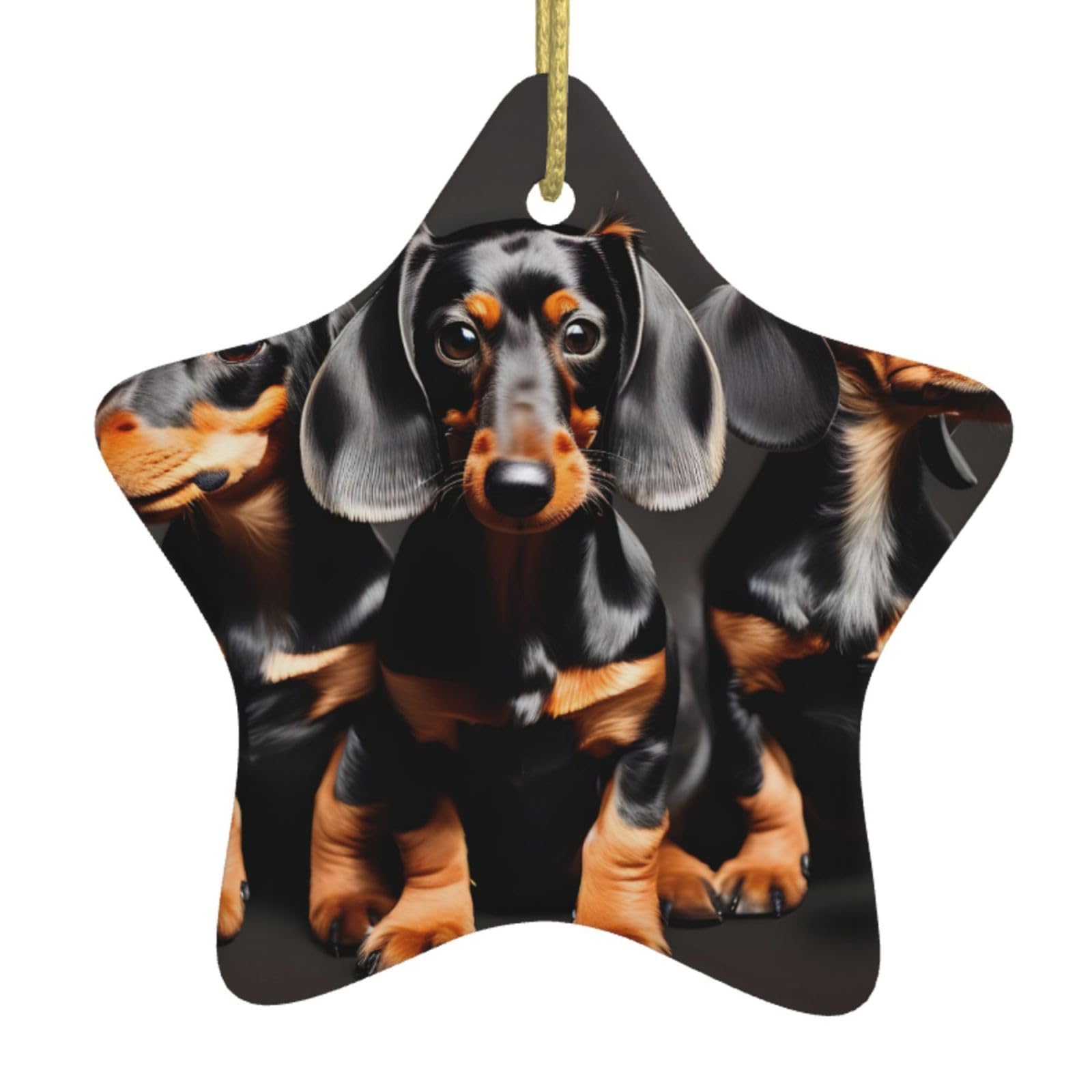 Nbtghga White Three Dachshunds Print Christmas Ornaments, Ceramic Hanging Ornament, Round Shape Decorations