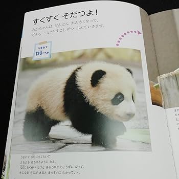 あきパンダ shinyakozuka 2025 Autumn / Winter Collection ISSUE # 7