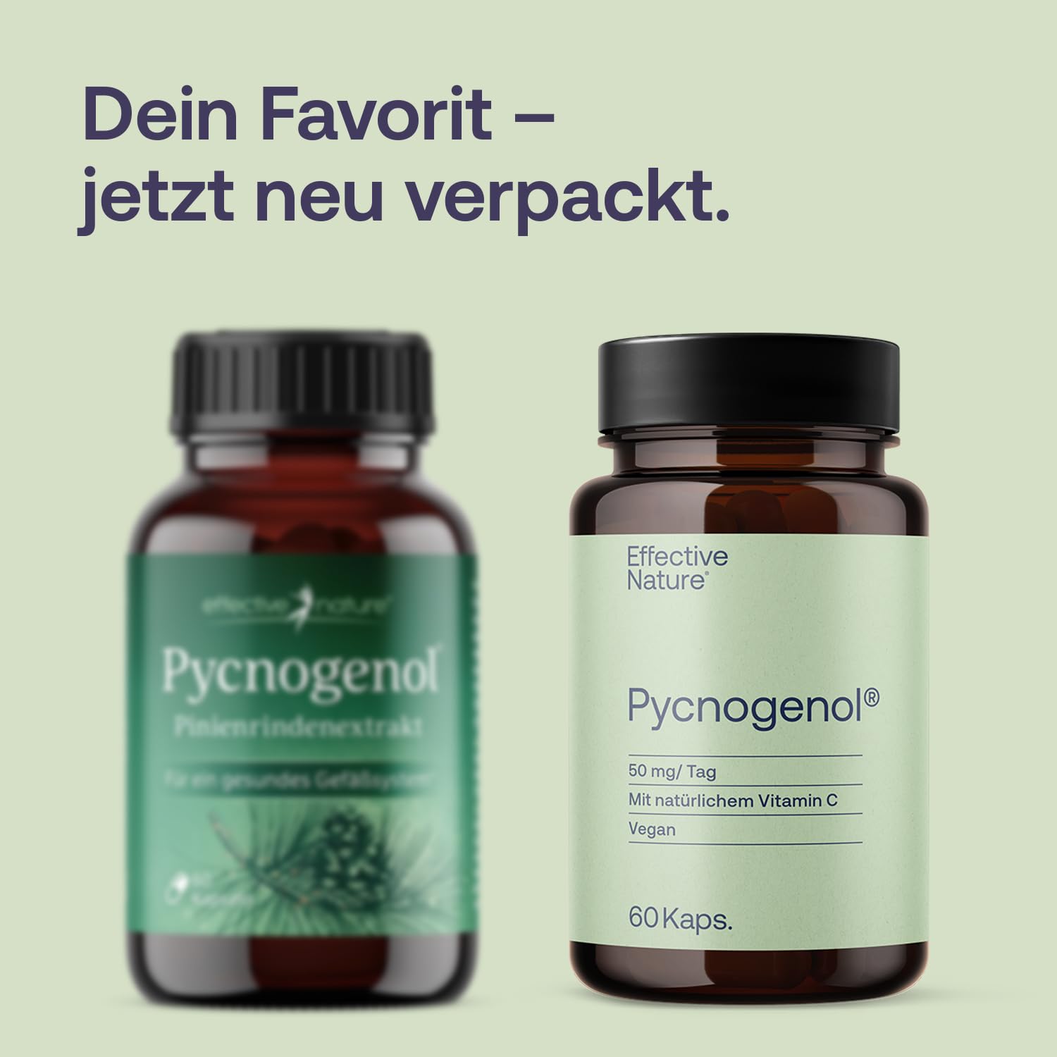 Effective Nature - Pinienrindenextrakt hochdosiert - Original Pycnogenol - mit Vitamin C aus der Acerolakirsche - Vegan - ohne Zusätze