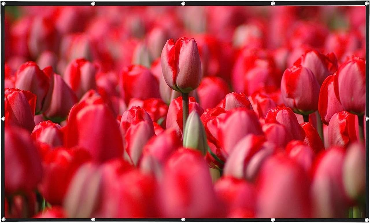 SAVSOL 60 inch Projector Screen,4K 16:9 Portable Eyelet Premium Video Foldable Projection for HD Home Theater Cinema Anti-Crease Indoor Outdoor Office Classroom (132 cm (W) x 75 cm (H))