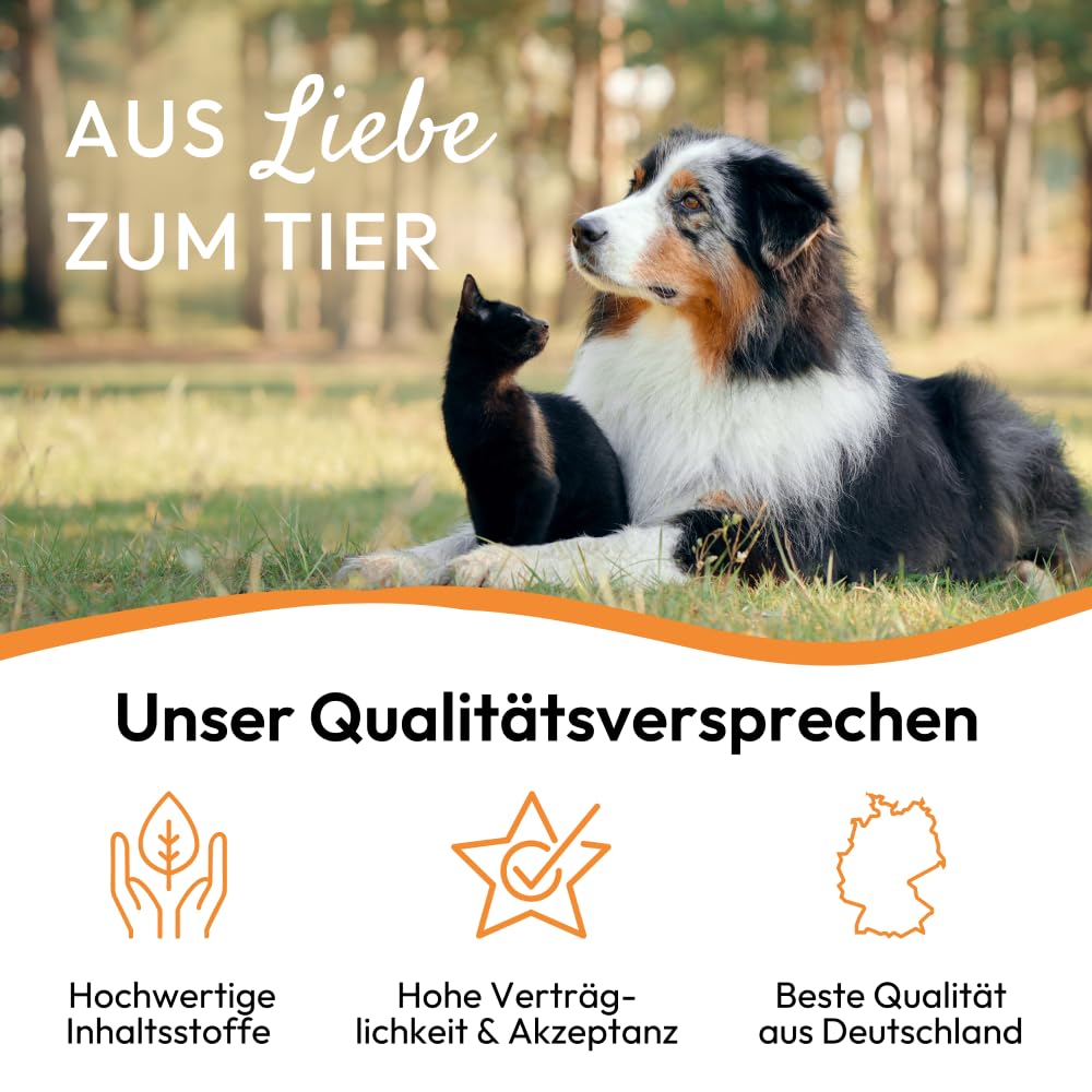 PHA Wurm Tropfen für Hund & Katze - mit Kräutern, Wermut, Schafgabe & Thymian zur natürlichen Darm Unterstützung & Einer normalen Verdauung, 50 ml