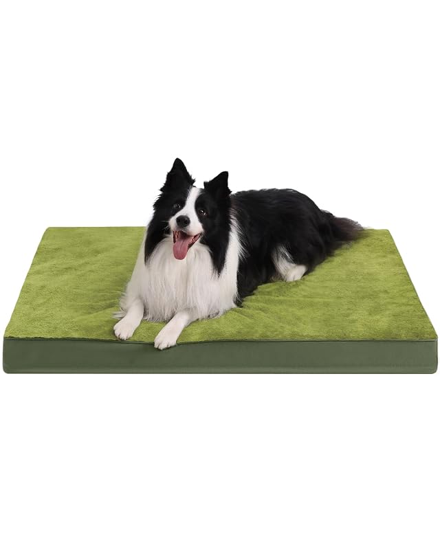 Cama para cães grandes KSIIA com espuma de alta densidade e revestimento impermeável, Verde, 88,9 x 55,9 x 7,6 cm