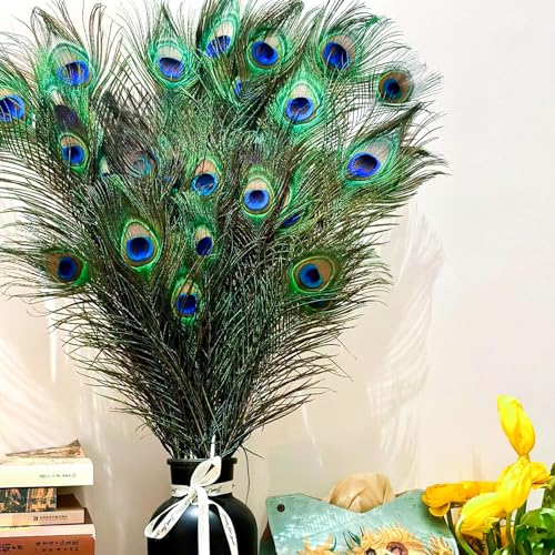 Piokio 50 pcs Natural Peacock Feathers in Bulk 20-23inch (50-60 cm) Bulk for DIY Craft, Wedding, Decoration
