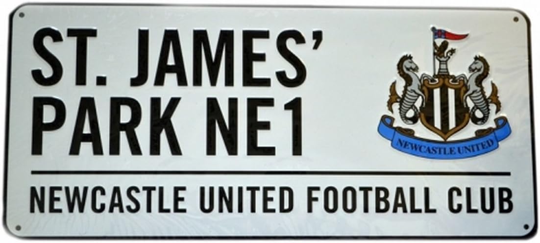 Newcastle Metal Street Sign (One Size) (Multicoloured)