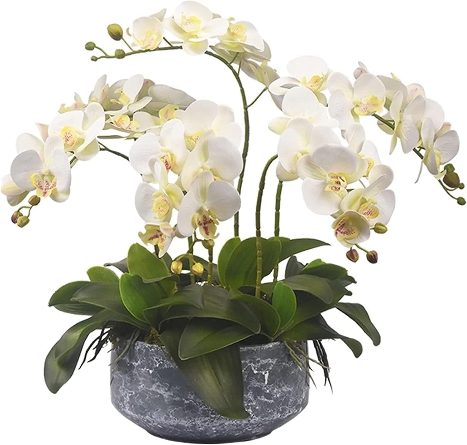 Orchidee, Fiori Artificiali, Fiori Finti, Piante Artificiali Vivaci, Decorazioni per la tavola e per Feste.