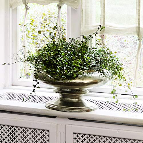 Loberon® Vaso Loyère, Alluminio pressofuso, L/A/P