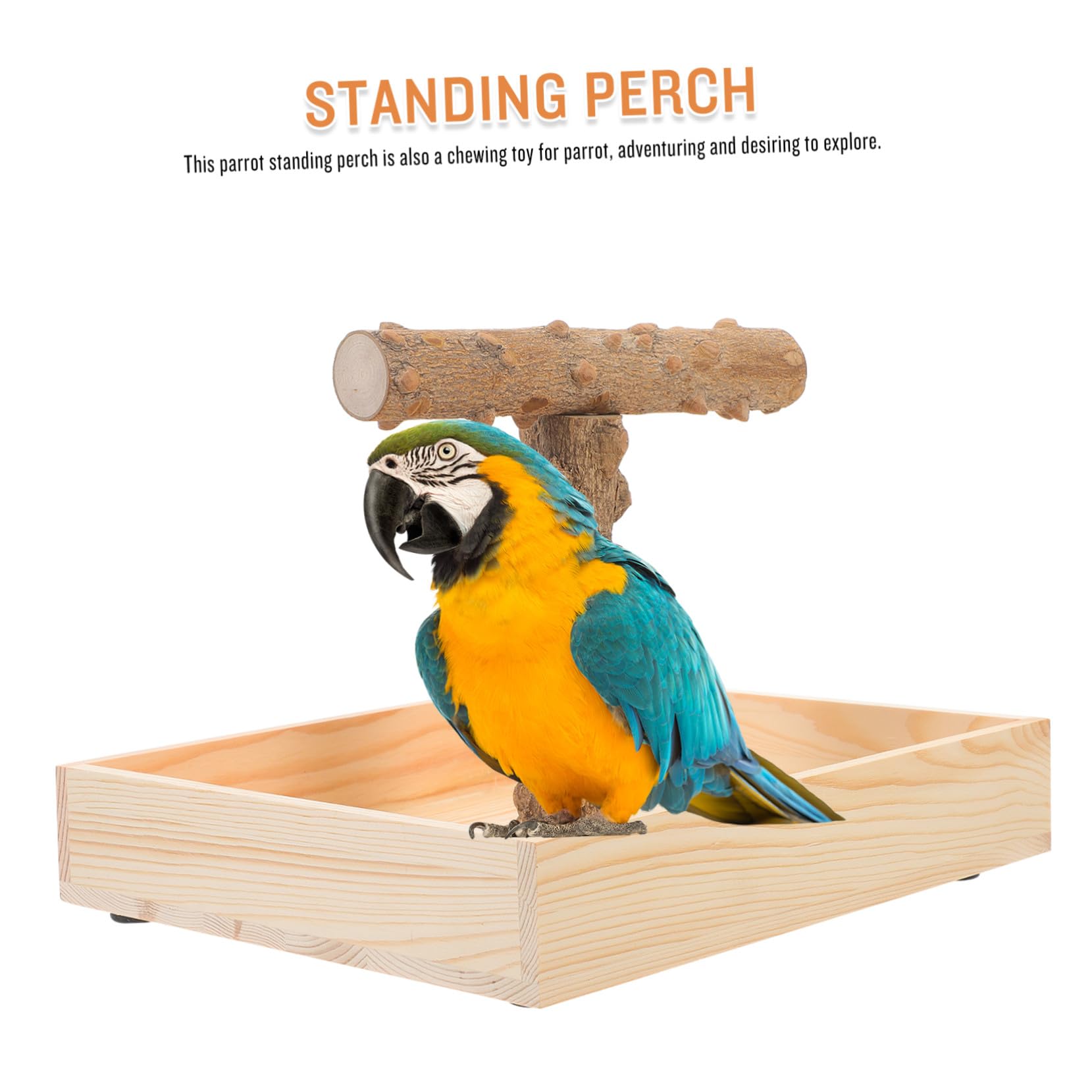 Tragbarer Vogelkäfig Stand aus Natürlichem Holz Papageien Wellensittich Sitzstange mit Kauspielzeug für Training und Beschäftigung von Nymphensittichen und Kleinen Vögeln