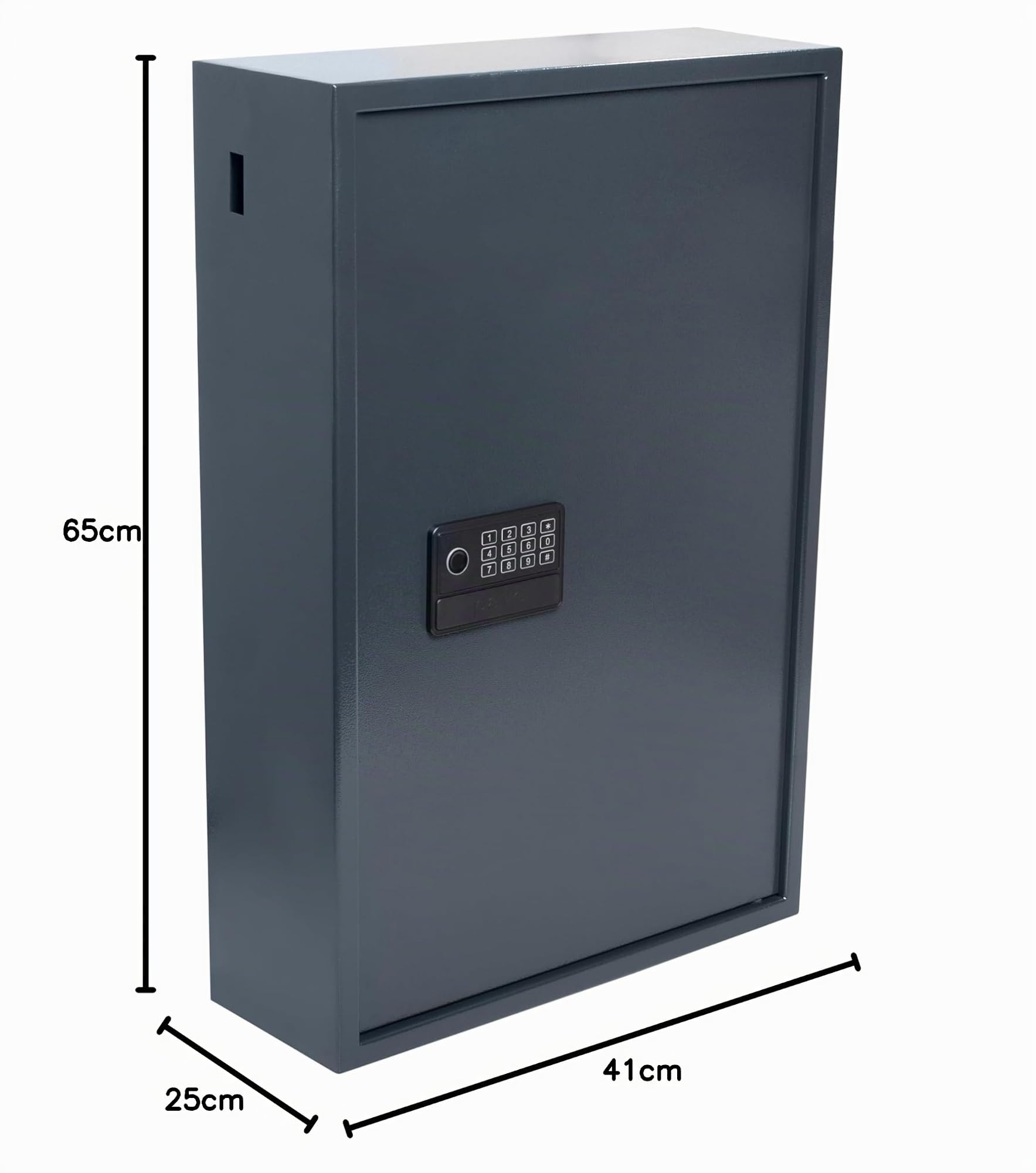 Pavo Armoire à cles Haute sécurité pour 300 clés/Coffre-Fort à clés/Dimension: 640 x 410 x 250 mm/Lecteur d'empreintes digitales/Connecteurs Type-C / 300 Porte-clés Inclus - Avancé