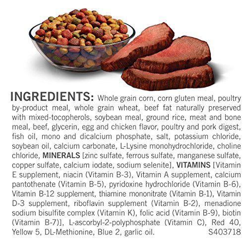 Best Dog Food for Goldendoodle Puppy to Buy in 2022 8 61vrW7KR12L