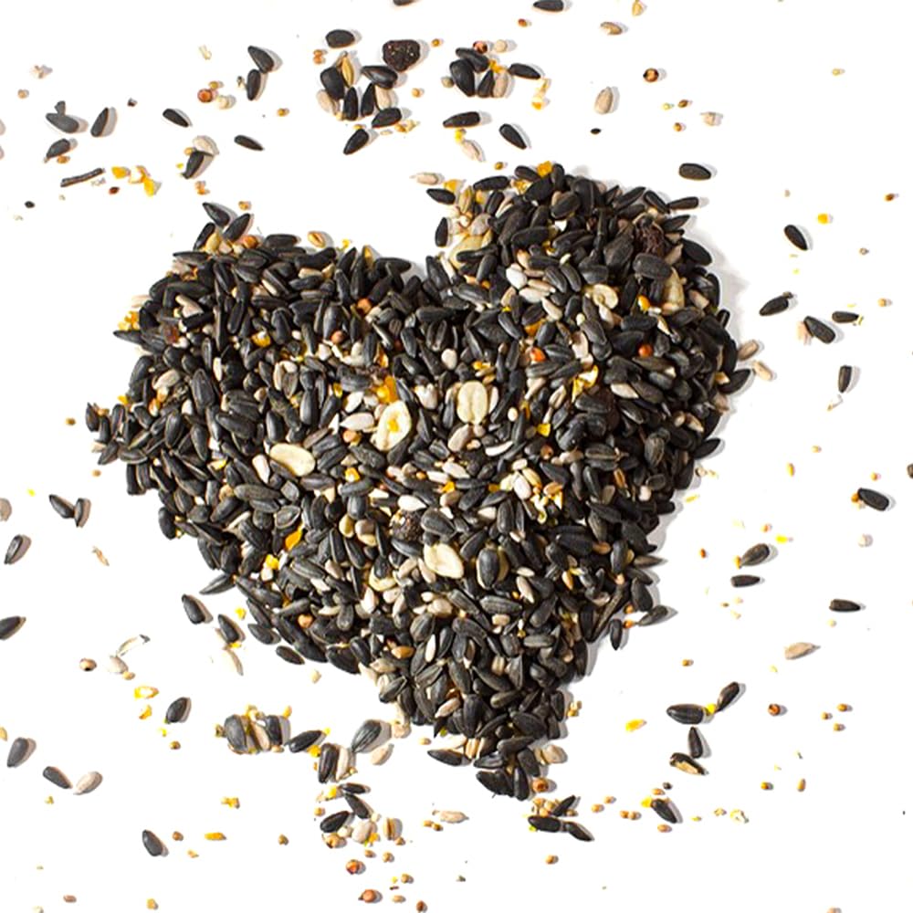 Graines De Tournesol Pour Oiseaux Armstrong à Haute énergie, 5,9 Kg