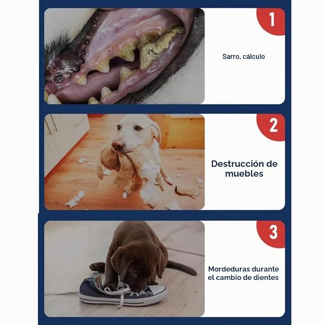 Foto 3 de 4 de BPS 24 Pcs Snack Pollo Palitos para Perros 12cm Stick Fortalecedor de Dientes Stick Dental Dog Snack BPS-5149…