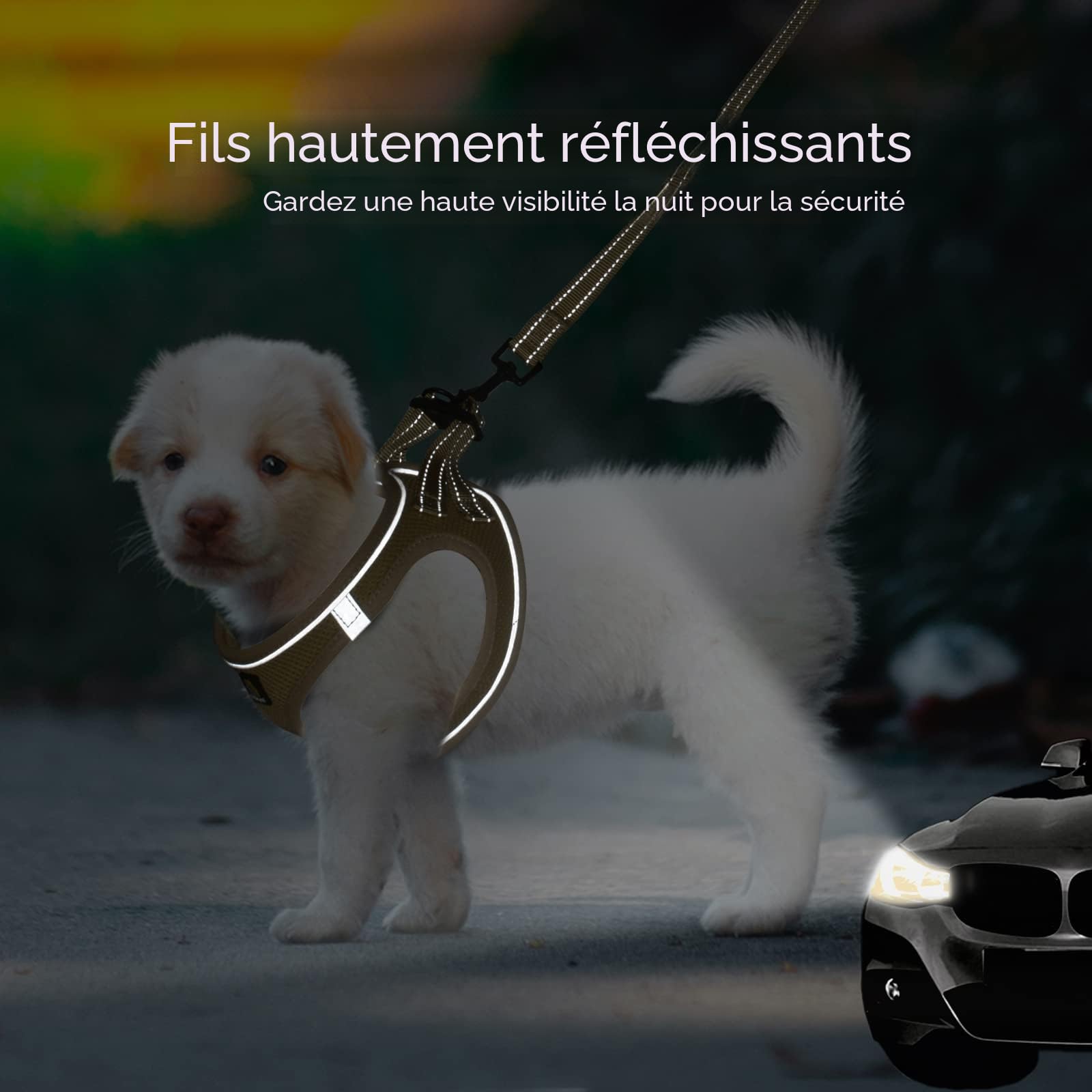 BELLA & PAL Harnais Anti-Traction pour Petit Chien et Chiot avec Laisse, Ajustable Sans Étranglement, Maille Aérée, Bande Réfléchissante, Kaki, Taille S