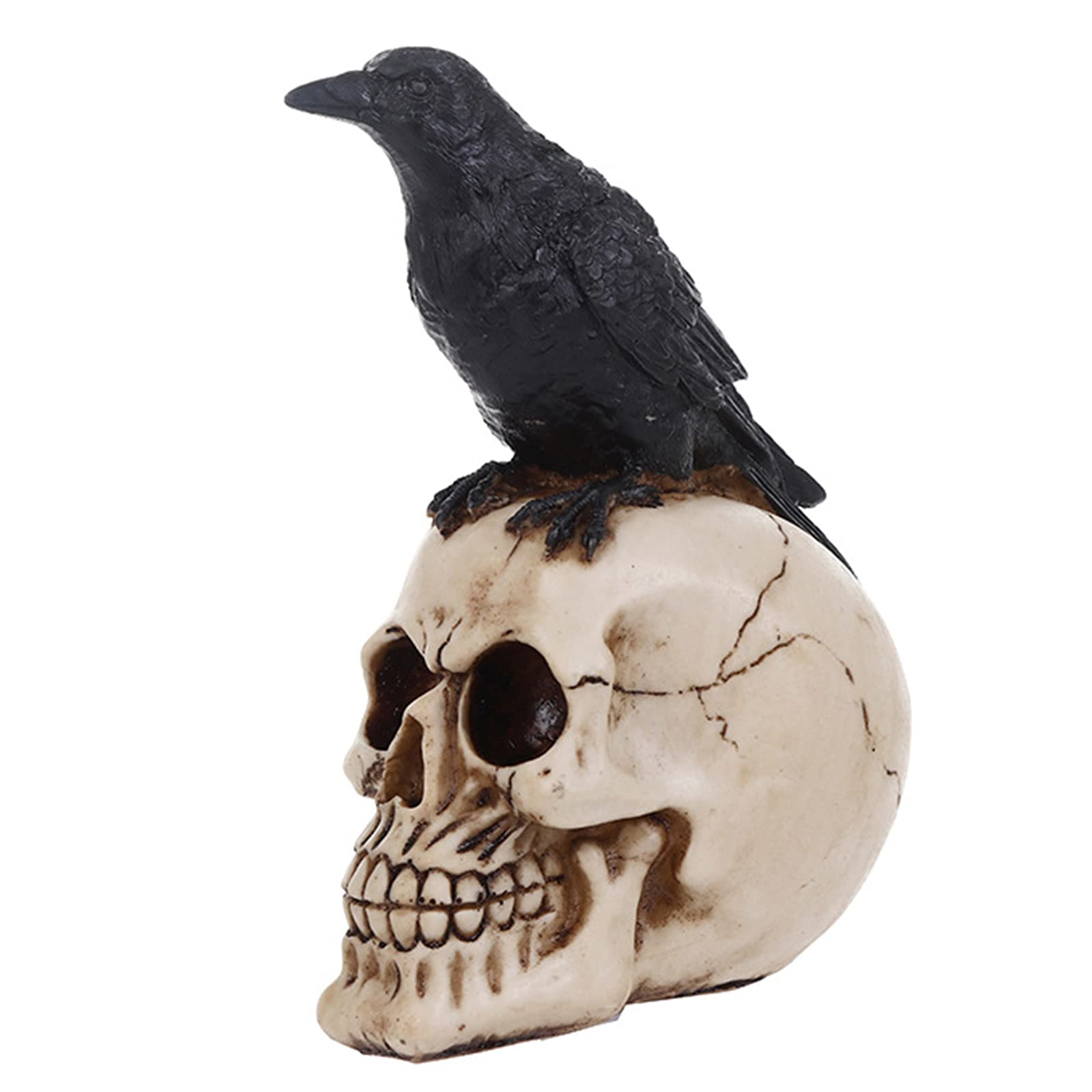 Cráneo Personaje Gótico Diseño Humano Cráneo Y Cuervo Significa Muerte Mejor Simulación Srequizise Resina Decoración para Halloween,10 * 15 * 21cm