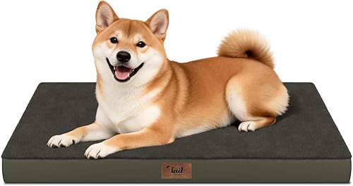 Miniatura 126 de Cama Ortopédica para Perros de Exterior para Perros Medianos y Gatos, Tapete Plano Impermeable para Mascotas con Espuma de Caja de Huevos y Funda