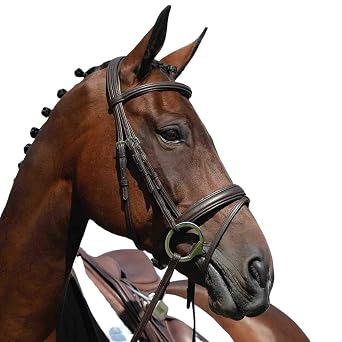 Collegiate Syntovia+ Padded Raised Flash Bridle, Black, Pony