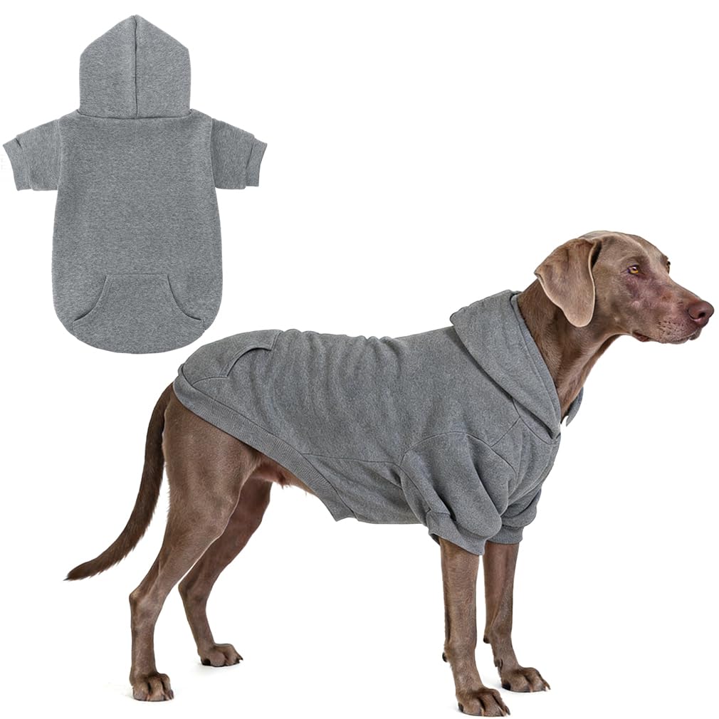 KOOLTAIL Basic Hoodie