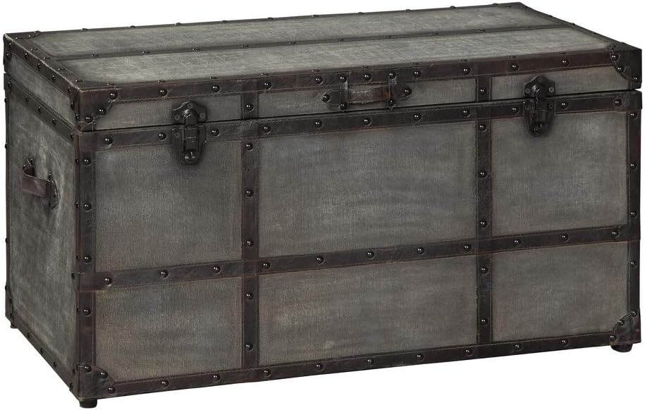 Signature Design by Ashley Amsel Industrial Storage Trunk or Coffee Table, Dark Gray