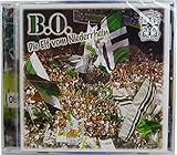 Ein echter Fanartikel vom VfL Borussia Mönchengladbach