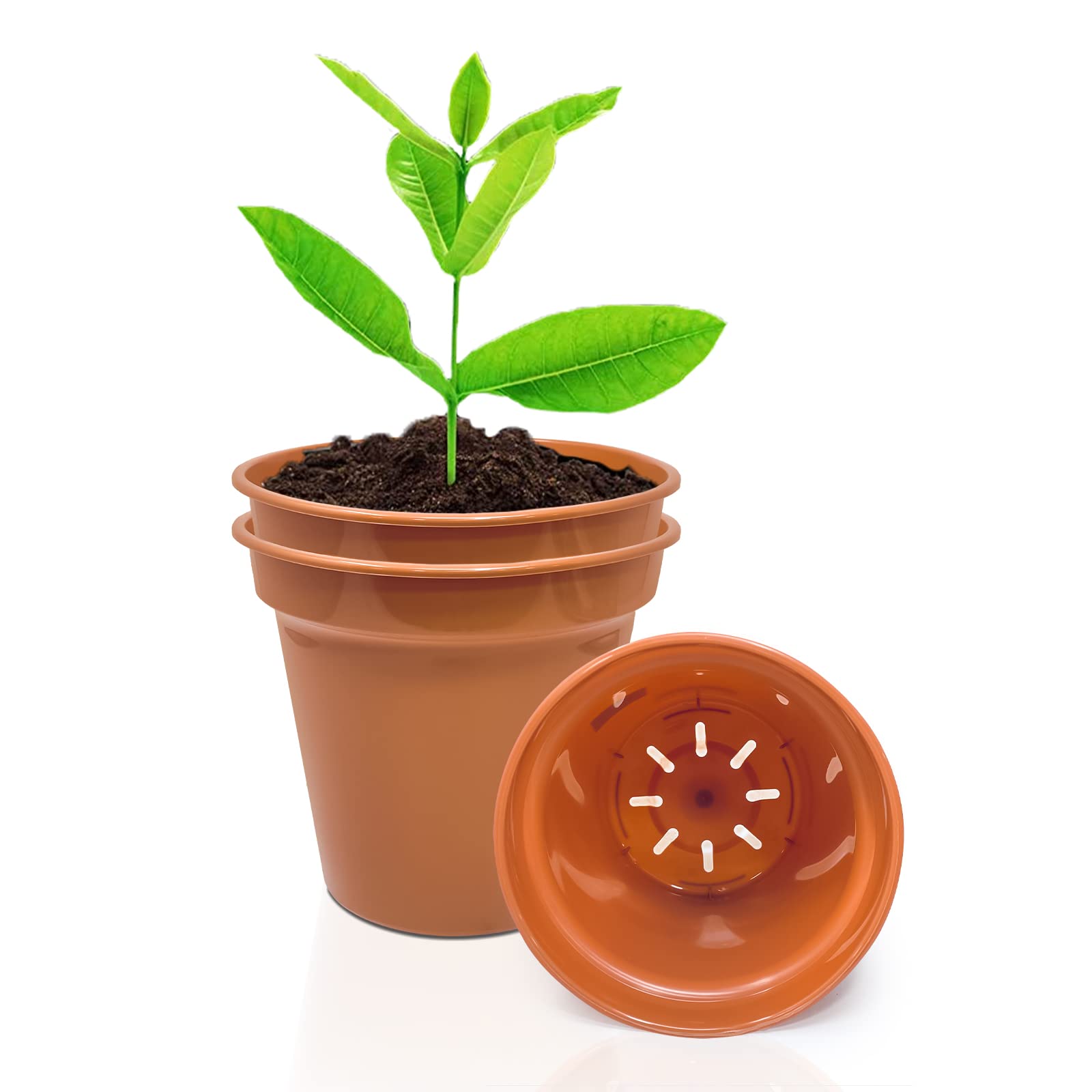 WINSOME 6 Inch (Pack of 3) Terracotta Plant Pot with Drainage Holes, Indoor & Outdoor Plant Pot, Decorative Planter for Herbs, Flowers, Succulents & Repotting