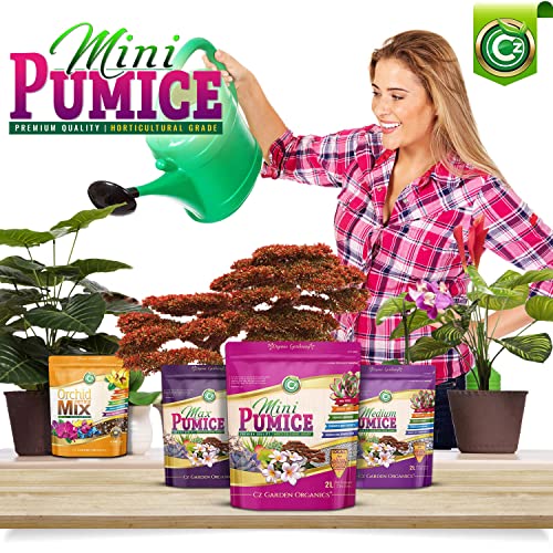 Pumice Stone Grow Media - Made In Usa For Bonsai • Succulents • Cactus • Orchids - Horticultural Soil Amendment Additive Conditioner For Indoor And Outdoor Plants And Organic Gardens #TOP3