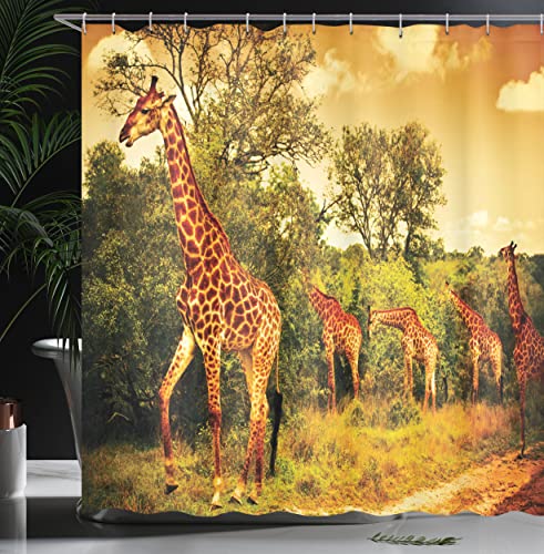 ABAKUHAUS Giraffe Shower Curtain, Safari Animals Walking in the Green Forest Savannah Wildlife Theme - Image 3