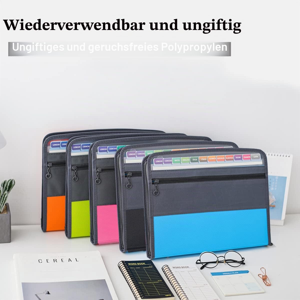 Fächermappe mit 13 Fächern, A4, Kunststoff, Dokumententasche mit Etikett, für Zuhause, Büro, Schule, Schreibwarenaufbewahrung (5 Farben gemischt)