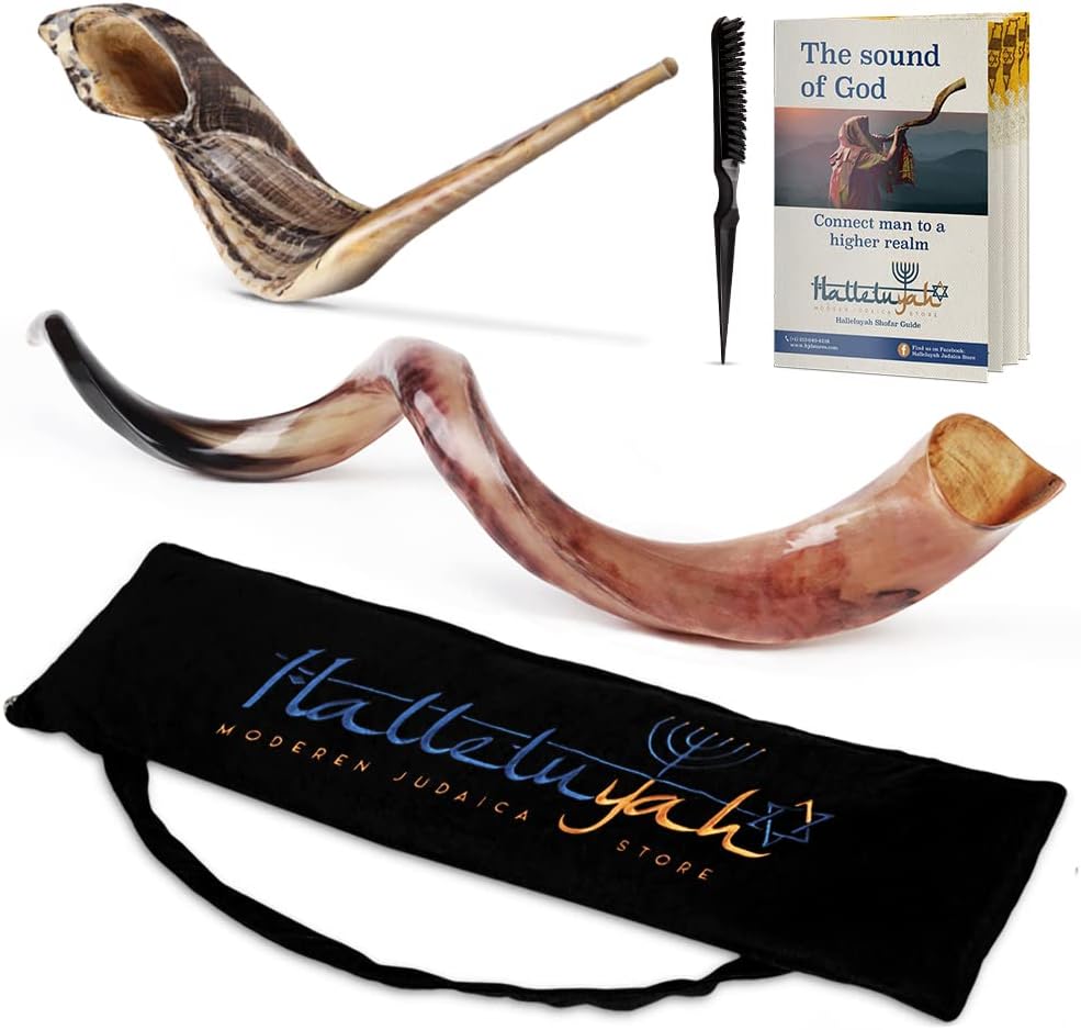 HalleluYAH Yemenite Fully Polished kudu Shofar From Israel Plus Free Bonus Ram Horn