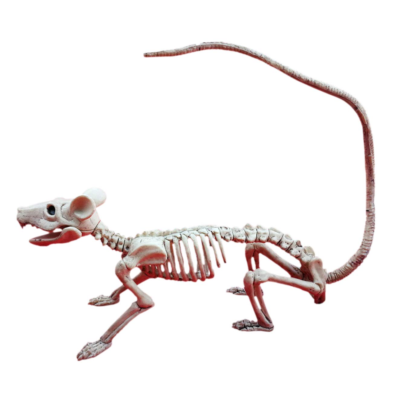 Amazon.co.jp: THEE 恐ろしい動物のネズミの骨 スケルトンパーティー
