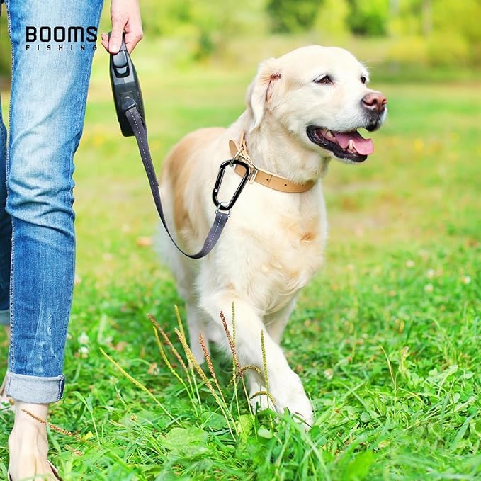 Image of Booms Fishing CC2 Carabiner Clip, 2.3 inch Small Carabiner Keychain, Multi-use Aluminium D Ring Caribeener Clips