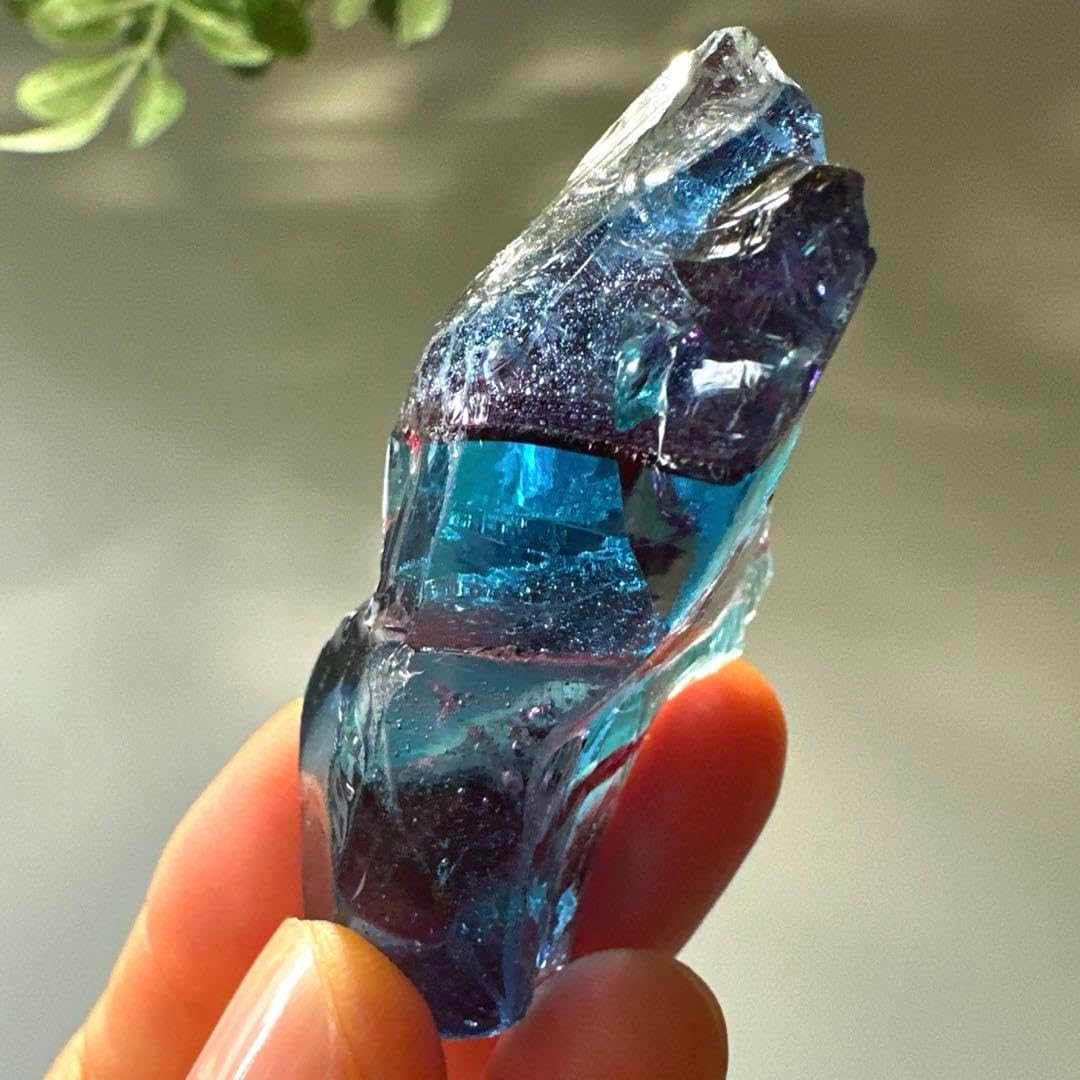 廃盤品 ヤマシタエギ王k R04WB ワイルドベリー 3.5号 ヤマシタ エギ王