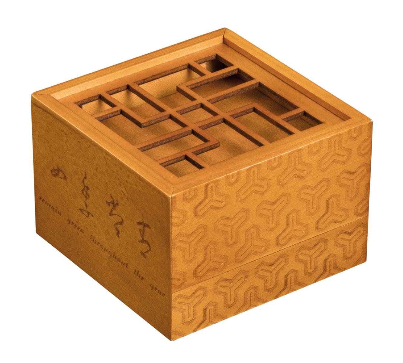 Philos 5530 - Secret Box Treasure, puzzle box, gift box, puzzle box, trick game made of wood
