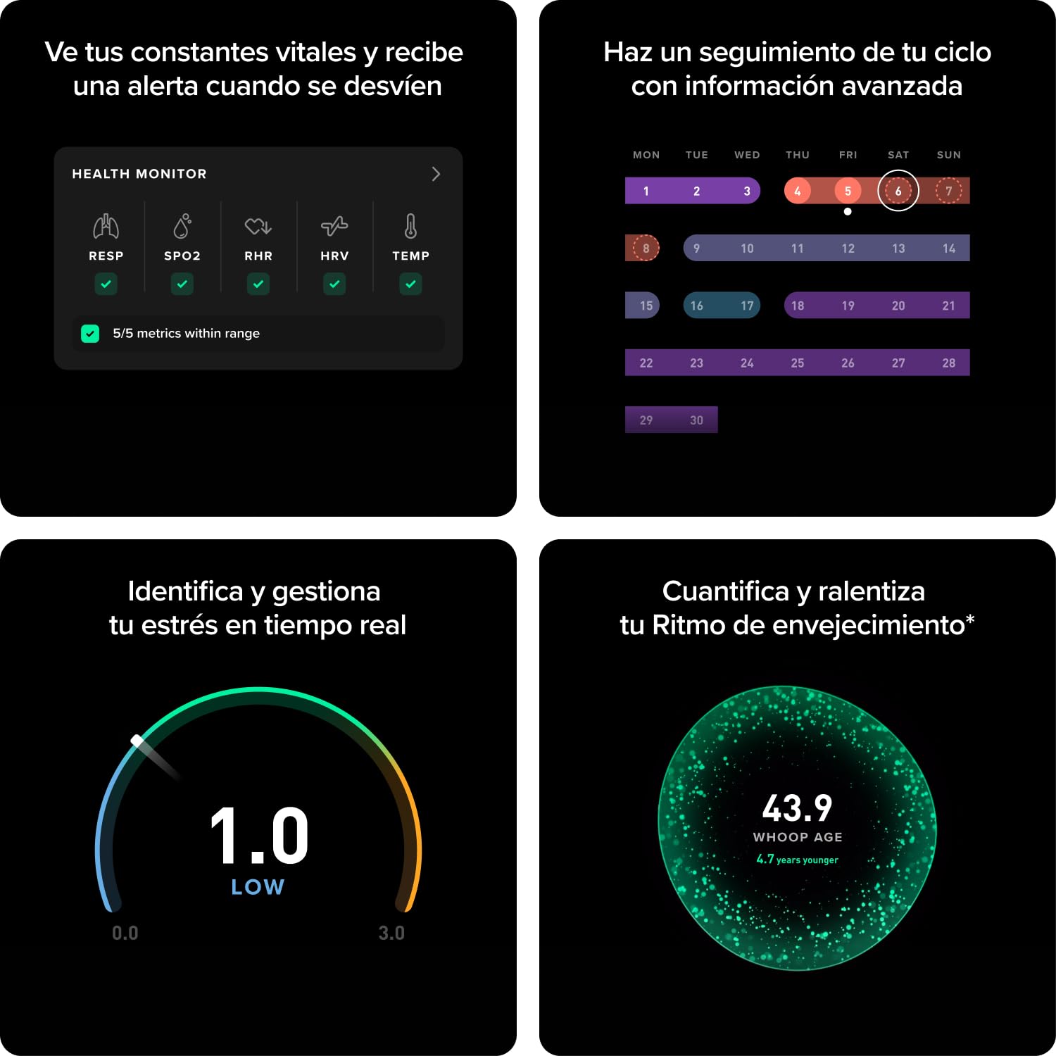 WHOOP – Suscripción de 12 Meses, Wearable de Salud y Forma física 5.0/MG, Control de Actividad 24/7 con VO2 máx, Seguimiento del sueño, Entrenamiento Personalizado, información del Ciclo Menstrual