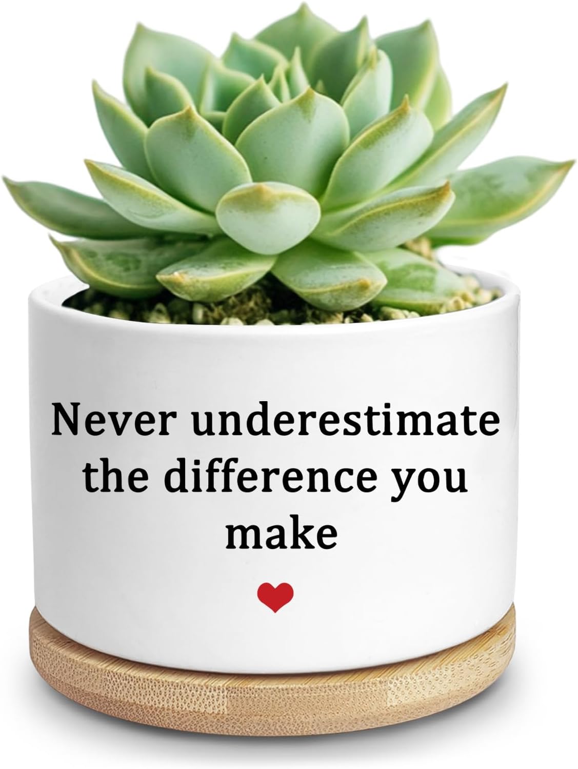 TEOUIOS Inspirational Ceramic Succulent Planter Pot with Bamboo Tray Perfect for Cactus Indoor Outdoor Decor Planter Gift for Plant Lovers Friends Home Office Garden Accessories