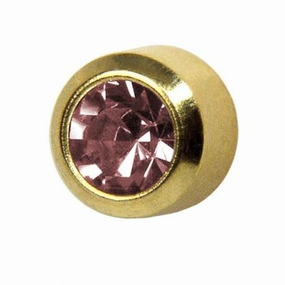 STUDEXJune/Alexandrite Regular 4mm Gold Plated Bezel Setting Ear Piercing Stud Earrings Birthstone