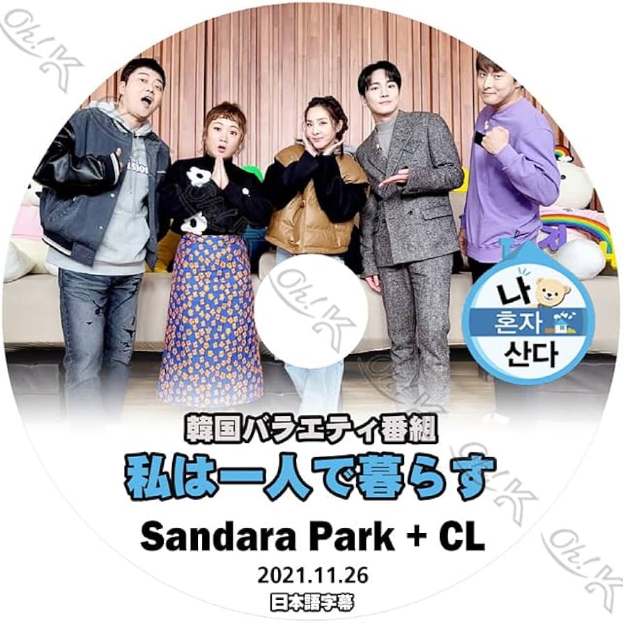 【韓国ドラマ】DVD★『プロデューサー 』(全話)★2NE1 BLACKPINK 韓国ドラマ】DVD☆『プロデューサー 』(全話)☆2NE1 BLACKPINK K