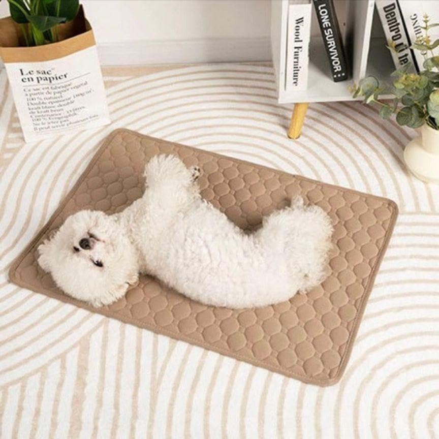 No.at3＊あけびの大きな円形トレー＊あけびかご＊ あけび蔓かご 茶皮