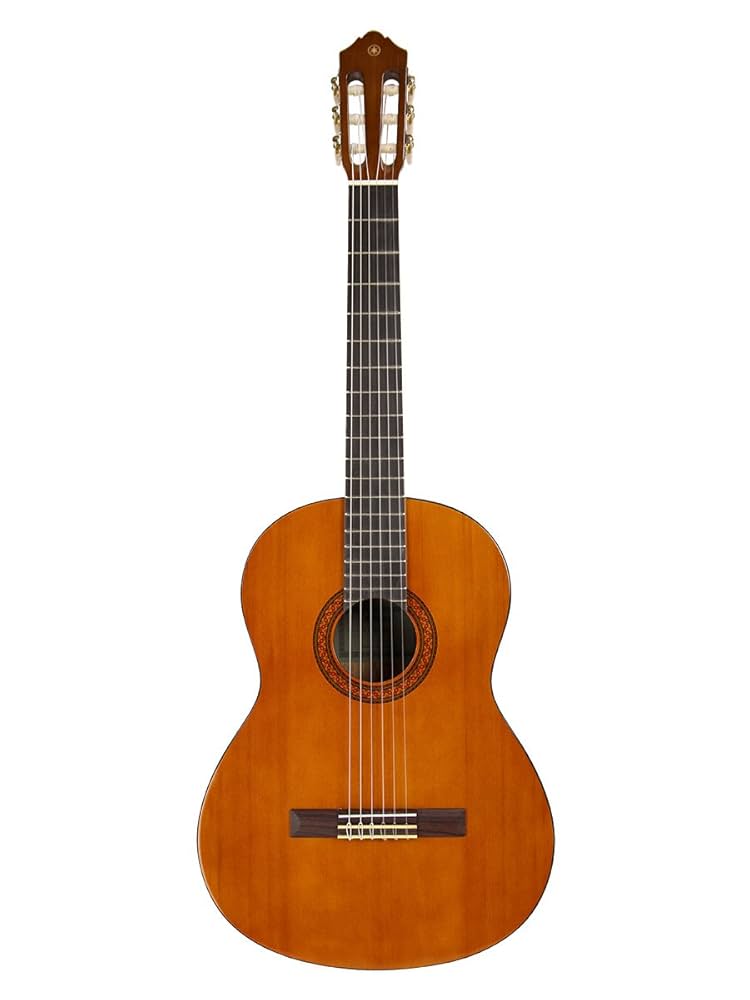 大幅値下げ！The Classical Guitar A Complete 61vsFZ8IjJL._UF1000,1000_QL80_.jpg